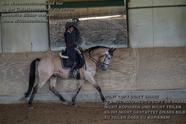 s_K3F03764.JPG